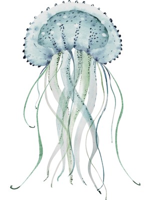 Fuart.Co Su Yeşili Dijital Baskı Poster (Çerçevesiz)Sea World Poster Serisi Sefu