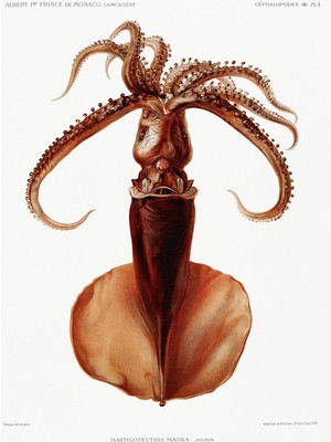 Fuart.Co Antik Medusa Antik Deniz Serisi Dijital Baskı Duvar Posteri (Çerçevesiz) Adfu