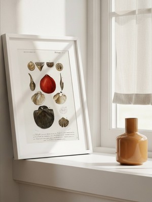 Fuart.Co Kızıl Mühür Antik Deniz Serisi Dijital Baskı Duvar Posteri (Çerçevesiz) Adfu