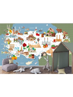 Türkiye Haritası Simgeler Poster Duvar Kağıdı