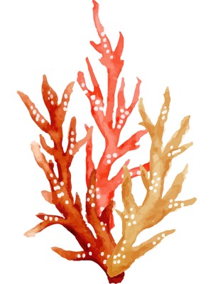 Fuart.Co Ateşli Mercan Dijital Baskı Poster (Çerçevesiz)Sea World Poster Serisi Sefu