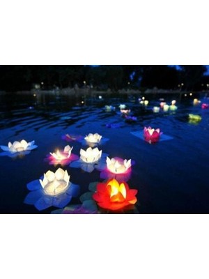 Homevia Nilüfer Çiçeği Su Feneri