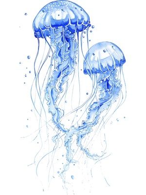 Fuart.Co Denizanası Işıltısı Dijital Baskı Poster (Çerçevesiz)Sea World Poster Serisi Sefu