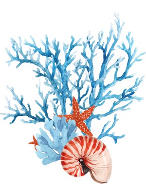 Fuart.Co Nautilus ve Yıldız Dijital Baskı Poster (Çerçevesiz)Sea World Poster Serisi Sefu