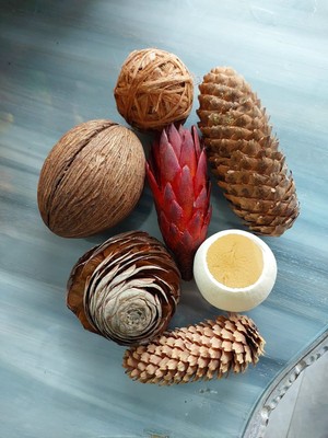 Lolipophobi Kurutulmuş Obje Set 2,dekor, Dekoratif, Hediye, Yılbaşı, Kapı Süsü, Ev Dekor, Masa Dekor