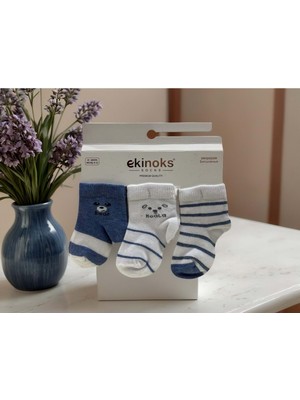 Ekinoks Koala Desenli Üçlü Bebek Çorap - RYZEÇ025 - Mavi - 12 - 18 Ay Mavi