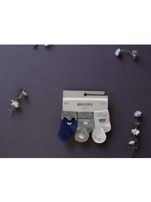 Ekinoks Ayıcık Desenli Üçlü Bebek Çorap - RYZEÇ024 - Lacivert - 12 - 18 Ay Lacivert