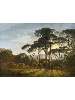 Ormanda Güzel Bir Gün Poster Duvar Kağıdı