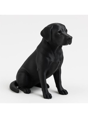 Sora Design Siyah Labrador Köpek Figürü, Dekoratif Ev ve Ofis Süsü