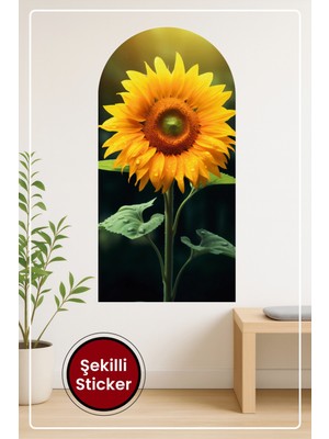 KOSS Dijital Oval Şekilli Canlı Doğa Sticker Gerçekçi Ayçiçeği ve Su Damlası Temalı Dekoratif Duvar Manzara