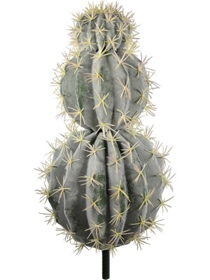 Dekorsende Yapay Kaktüs 3'lü Dekoratif Açık Yeşil 60 cm
