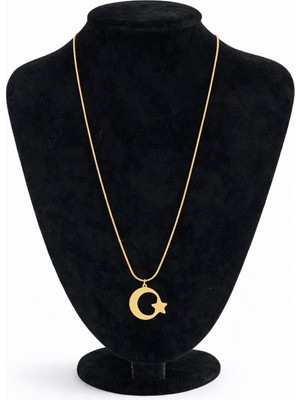 Pangu Ay Yıldız Çelik Kolye