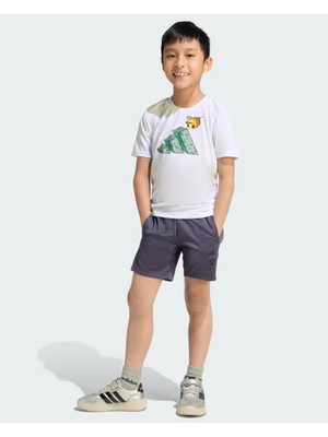 Adidas Sportswear Mınecraft Traınıng Summer Set JZ3533