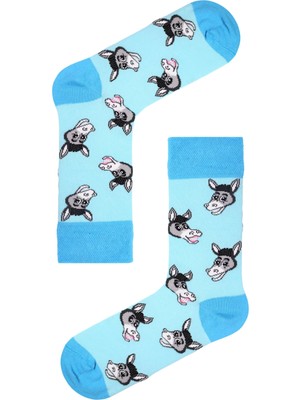 Carnaval Socks Gülen Eşşek Desenli Mavi Renkli Unisex Soket Çorap