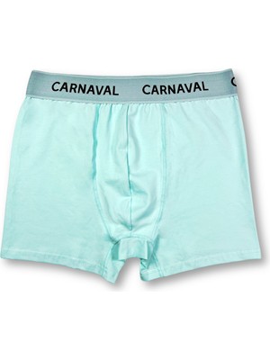 Carnaval Socks Carnaval Mint Yeşili Premium Pamuklu Erkek Boxer