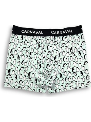 Carnaval Socks Carnaval Penguen Desenli Premium Pamuklu Erkek Boxer -Açık Mavi Renkli