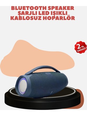 Küllük ve Hava Temizleyici 2’si 1 Arada – Sigara Kokusu Giderici, Araba ve Ofis Için - Lisinya