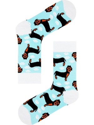 Carnaval Socks Çoklu Köpek Desenli Unisex Renkli Soket Çorap