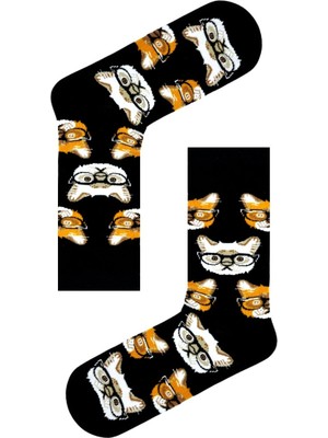 Carnaval Socks Gözlüklü Kediler Desenli Siyah Soket Çorap