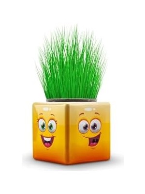 Bambamtoys 3 Adet Karışık 3 Tarafı Emojili Küp Çim Okul ve Okul Öncesi Hediyelik Çim Adam BAMBMNM418