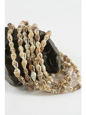 Die Grup Istiridye Deniz Kabuğu 1 Dizi DIE-GRPBJT34