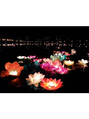 MiraLive Nilüfer Su Feneri