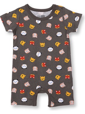 Hellobaby , Kısa Tulum