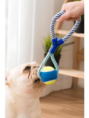 Hype Store Halatlı Köpek Çiğneme Topu Dayanıklı Köpek Çene Güçlendirici Oyuncak