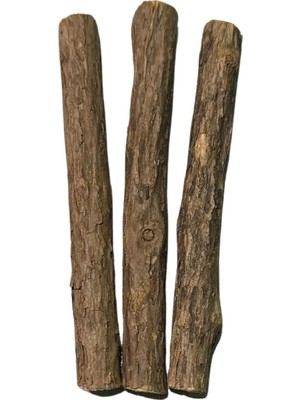 Hype Store Pawdaz Matatabi - Stick Diş Temizlemeye ve Stres Gidermeye Yardımcı Doğal Oyuncak