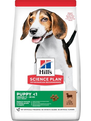 Hype Store Puppy Kuzulu Medium Yavru Köpek Maması 14 kg
