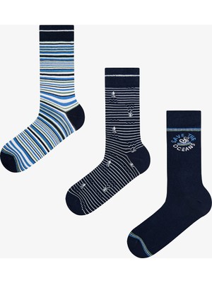 Penti Erkek Renkli Wave Signal 3'lü Soket