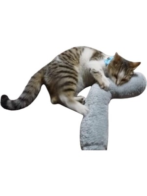 Hype Store Kedi Oyuncağı Sarılma Yastığı Uyku Oyuncağı Kedi Otlu 30 cm Peluş (1 Adet) (Gri)