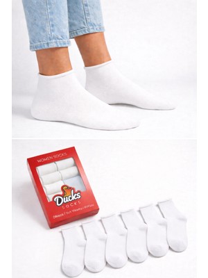 Ducks Socks Kadın 6'lı Pamuklu Kutulu Lastiksiz Dikişsiz Iz Bırakmaz Kısa Konç Sıkmayan Çorap