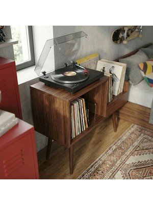 DEQQU Pera 44X78CM Ahşap Retro Pikap Sehpası, Metal Raflı Plak Organizer, Plak Düzenleyici, Plak Dolabı