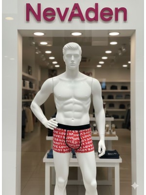 Cotboxer Erkekboxer