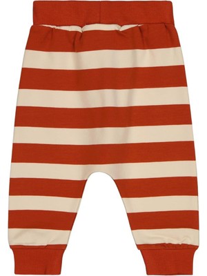 Civil Baby Kalın Çizgi Empirme 6-18 Ay Eşofman Altı - Turuncu