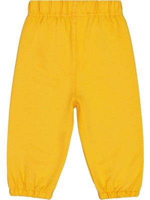 Civil Baby Basic 6-18 Ay Eşofman Altı - Sarı