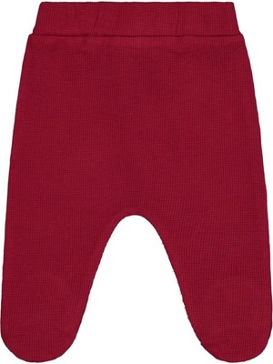 Civil Baby 26 Baskılı 1-9 Ay Tek Alt Bebe - Bordo