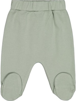 Civil Baby Patik Ucu Dinozor Nakışlı 1-9 Ay Tek Alt Bebe - Yeşil