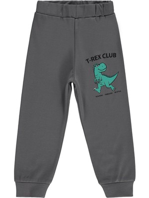 Civil Boys Trex Club Baskılı 2-5 Yaş Eşofman Altı Km - Gri