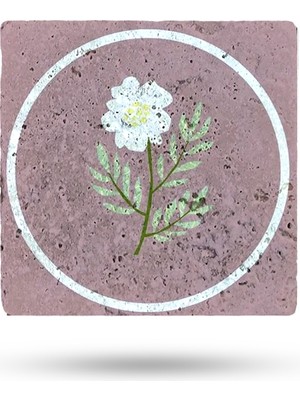 Begoloni Doğal Taş Nihale 15X15CM Mor Zemin Çiçek Baskılı Çaydanlık Altlığı-Tencere Tava Altlığı