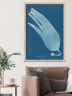 Evine Moda Anna Atkins Laminaria Tek Parça Ahşap Çerçeveli Tablo