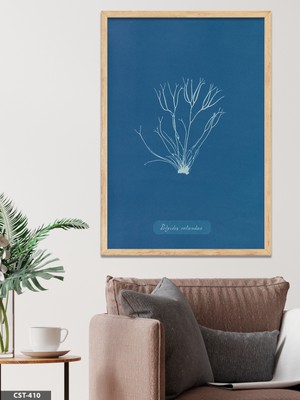 Evine Moda Polysiphonia Rotundus Tek Parça Ahşap Çerçeveli Tablo