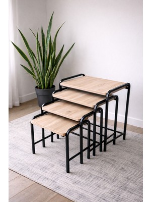 Can Vista Home 4'lü Ceviz Siyah Ayaklı Dikdörtgen Zigon Sehpa