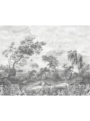 Karakalem Doğa Çalışması Poster Duvar Kağıdı