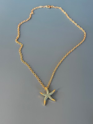 Deniz Yıldızı Turkuaz Taşlı Çelik Kolye