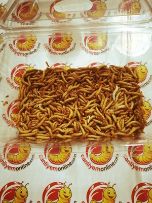 Koçlar Unkurdu 500 gr