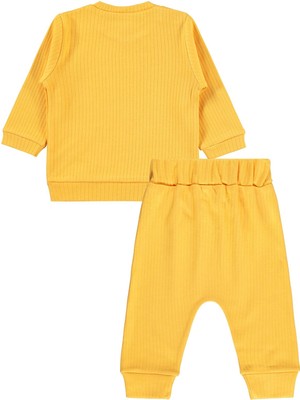 Civil Baby Basic Raporlu 6-18 Ay Takım - Hardal 12-18 Ay