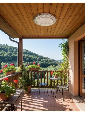 D-Light Martı Tavan Armatürü