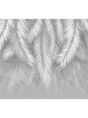 Siyah Beyaz Palmiye Yaprakları Poster Duvar Kağıdı